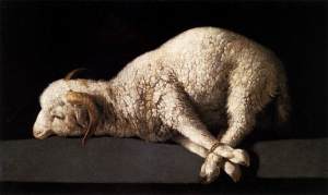 agnus-dei-1640