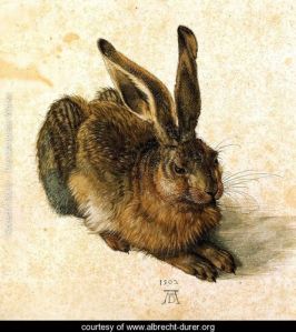 Young-Hare-I
