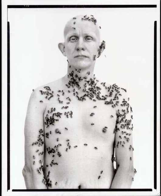 avedon_beekeeper