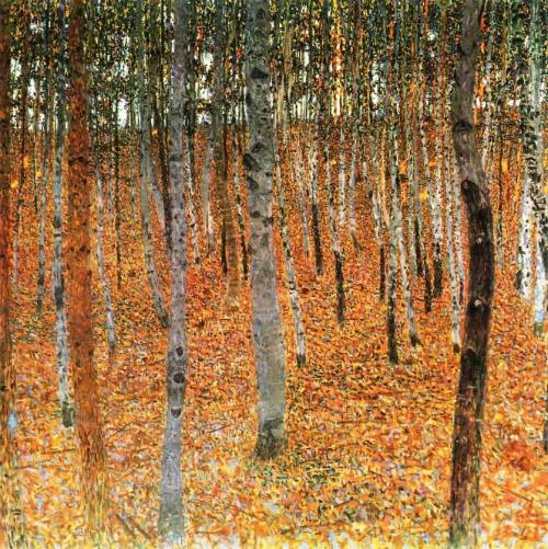 Birch-Trees