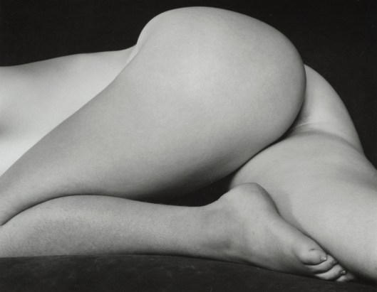 edward-weston-nude-1934-1368775739_org