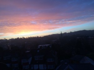 IMG_0295