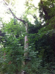 Nunhead